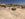 4850D516-D283-4891-8F56-9831FDA29CE9.jpeg