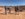 8BFE34CE-60CC-4749-ABBD-D0BC1DC16189.jpeg