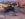 75C1EA48-4DE7-46AE-80F8-90343F461D12.jpeg