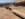 BBC22750-C14D-4B95-B46E-E84761BB806B.jpeg