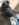 FE7F104B-E0B7-44BF-91FE-96FEBB5D47B1.jpeg
