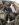 715F7840-CA64-4923-8123-5BD87674B6C5.jpeg