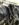 C6F97940-6D47-4D9A-98CE-383C7BA7C2D6.jpeg