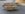 BCF15239-E0FC-4144-A10E-27EEA7F30216.jpeg