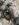 E903DB8E-2726-49EA-B8A7-3B571243C768.jpeg