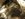 FF351791-6D97-49D9-AD4A-0E1A9A2ACFC5.jpeg
