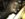38785F25-9F0B-4F51-8493-E06776343EA8.jpeg