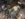 8C186FFB-2E79-443B-A7F0-58C9454C24B2.jpeg