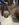 D3ADE764-4ACD-4D88-AC5D-5671B9071F77.jpeg