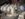 C45C3D2F-212D-4FE1-9CFA-9AFF26DD2A02.jpeg