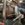 13B567BD-092E-403B-B81B-6B9497FAE3EE.jpeg