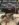 C728B543-C912-4D4D-A8E4-D9D51409BD52.jpeg C728B543-C912-4D4D-A8E4-D9D51409BD52.jpeg