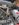 4CC86AF1-2D1C-4D77-A7D5-310E7A817C37.jpeg 4CC86AF1-2D1C-4D77-A7D5-310E7A817C37.jpeg