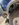 0D62DC96-FBF0-41DC-BCEA-3E9B07E2FFD0.jpeg 0D62DC96-FBF0-41DC-BCEA-3E9B07E2FFD0.jpeg