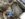 365804F5-3AE3-4A52-BF0E-3D84142A6D7C.jpeg 365804F5-3AE3-4A52-BF0E-3D84142A6D7C.jpeg