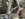 94388065-66BE-45D0-96E9-BA10E84E7EC7.jpeg