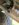 B3F923CE-A6E8-47DC-9CB3-D17135D11CF3.jpeg