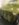 CA67FAE7-B557-4197-AC89-F75B45603139.jpeg