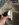 F91C5CC2-1DF0-4FD8-97E9-E98A557C8293.jpeg