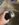 CF7DFBBD-1566-4E21-81E8-78F0B22554AB.jpeg