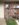 CEFAC5B0-D6A5-4505-93FC-1E9A6477B211.jpeg