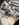 357D1B31-F5C8-4481-AE1F-431BE31AC763.jpeg