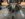 6668492E-677D-4B4E-80AF-3206C08B815B.jpeg