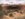 D7F7304A-8B6A-4510-910B-B3B79EA7A191.jpeg
