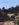 D3A39353-E2F5-4E8F-BBF2-20C87D295990.jpeg