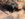 B0148F4B-4260-41BA-B3A5-7BDBC0C752EF.jpeg