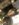 F203557B-856B-44AD-B337-67F060C7A9B3.jpeg