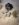 4E87AFBB-37E1-4FBA-84DF-29C39A5EDDA7.jpeg