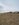48621616-D427-474D-B56A-E42FA86C1764.jpeg