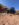 FAC51443-AA86-4601-BEF3-47D7B9EE2337.jpeg