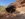0EA26B45-8C4B-4A79-83AB-895134635DCA.jpeg