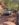 635E1C36-7D9D-41FA-AAF7-F5314006033D.jpeg