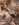 AC743D33-CA9D-492F-A896-11378F03B475.jpeg
