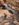 8EF155DE-0116-43EB-AB90-94B24357E533.jpeg