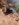 602902E2-B926-4A1A-AD27-B7968B9BA952.jpeg