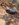 E2EFC7AD-2FC3-480F-9796-EADF0E3504CA.jpeg