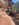 0002BB8F-8AB9-4605-AAFD-E5E2957401A9.jpeg