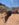 13BA3608-4417-44E3-A1C3-B7372BC117C3.jpeg