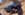 26BB523D-07CB-4D93-B1D7-0195B145F377.jpeg