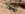 8DAF5A89-8386-44E4-8948-20DEA12D4274.jpeg