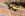 24CC7C02-5EA4-4BD7-BD9D-13F0D965869A.jpeg