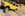 F9E83A90-92DC-4D69-86A2-8B00CCB80FB0.jpeg