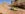 99015A1C-47B3-4BC2-8988-757E6F71DCC2.jpeg