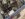 D8ECE4B9-B11F-46AE-AD6A-33D913826F49.jpeg
