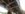A9D8A8F5-7E02-4113-B16E-6F0398858C45.jpeg