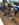 8F8ABB62-EC81-4B13-9E51-D4C00DE6BDD5.jpeg